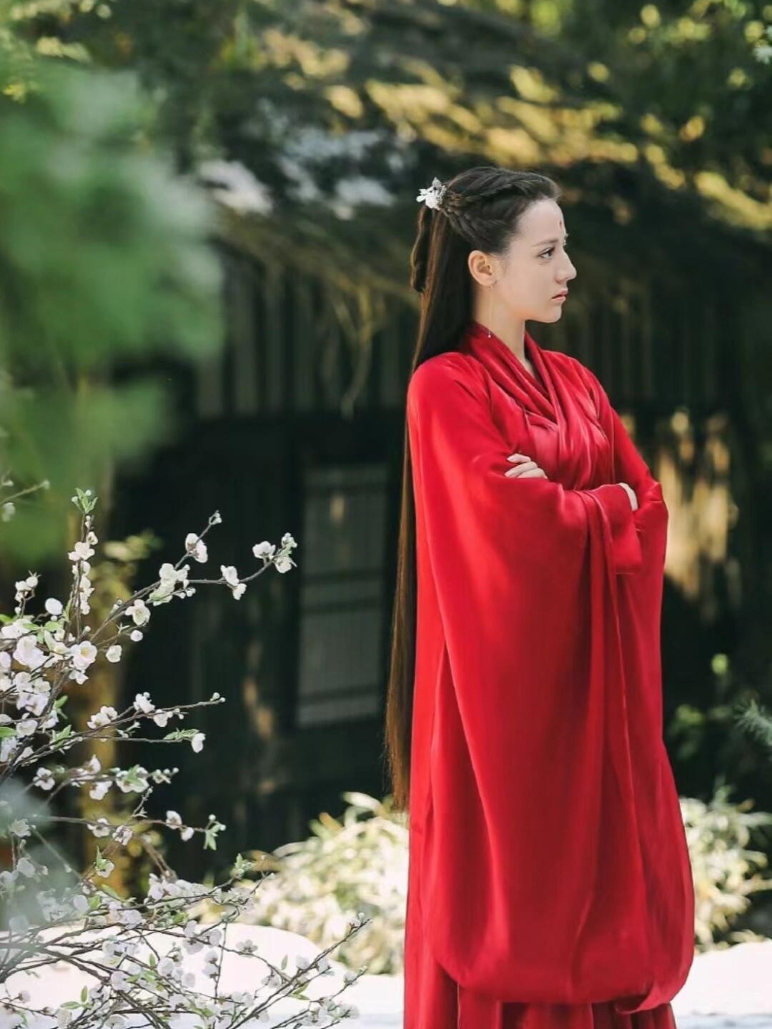 三生三世枕上书全集免费观看(三生三世枕上书免费全集在线观看超清)