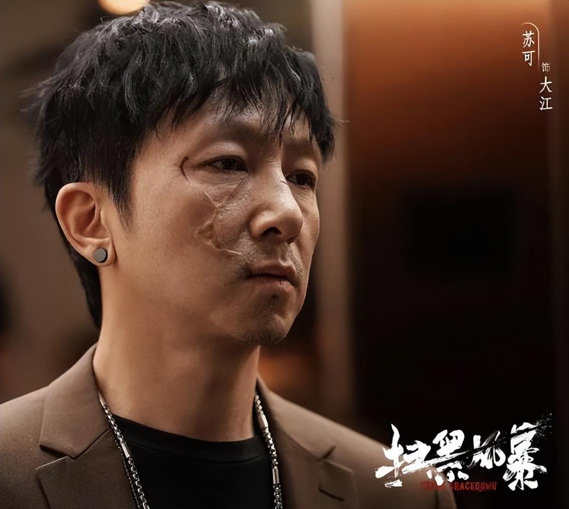扫黑风暴15集在线观看(扫黑风暴27集全集免费观看)