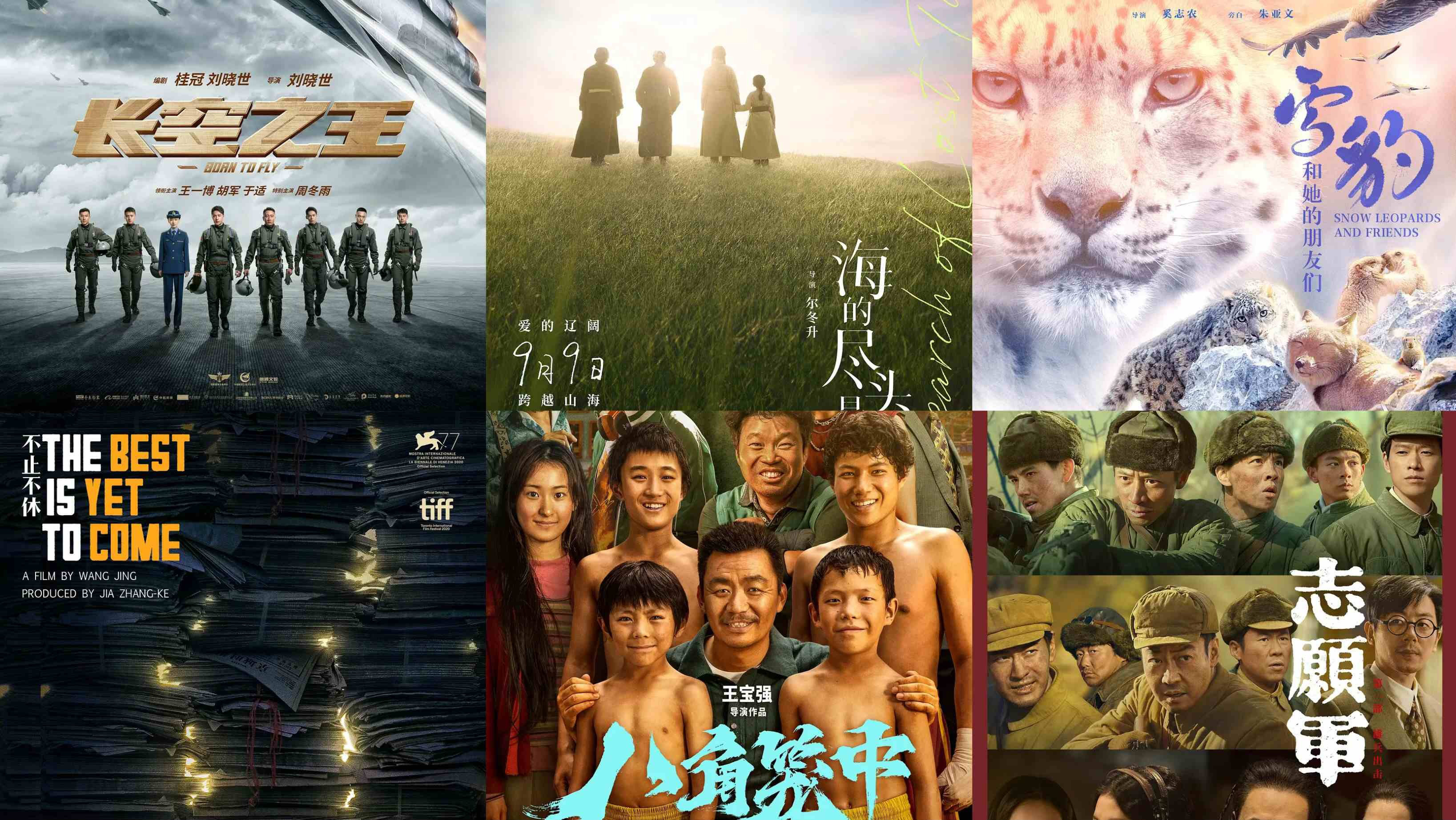 免费迅雷电影下载(下载 迅雷 电影)