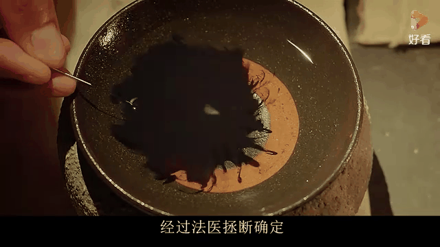 奇门相术未删减版(奇门相术无删减1080)