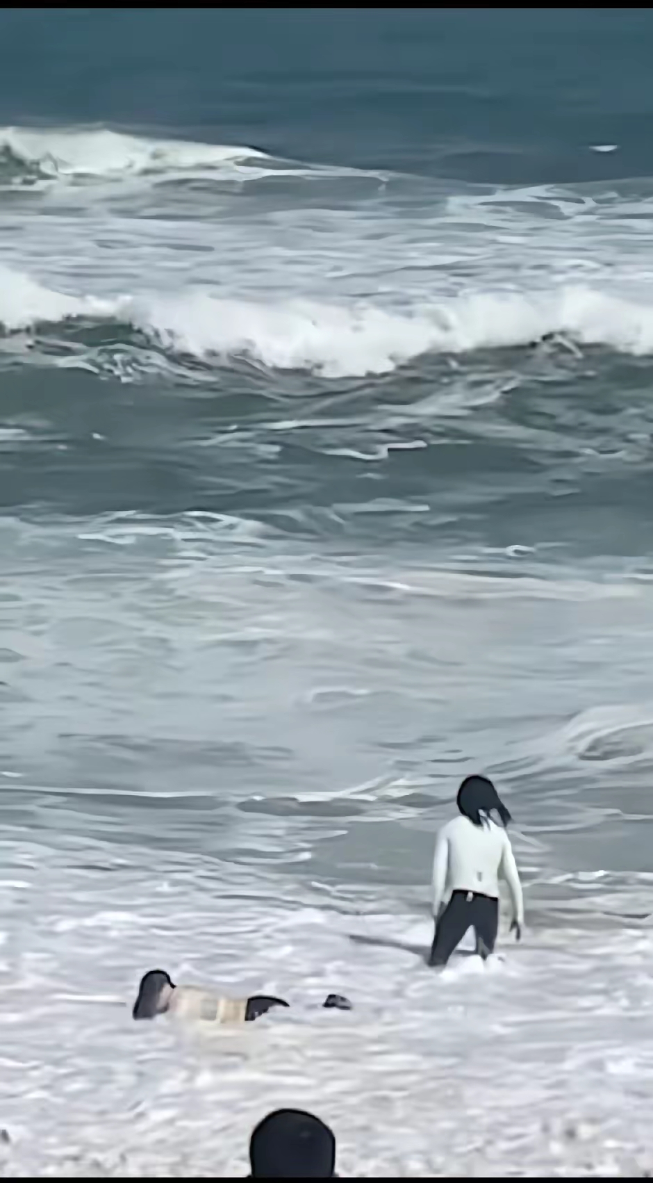 在屋顶上流浪(在屋顶上流浪未剪板) 在屋顶上流浪(在屋顶上流浪未剪板)