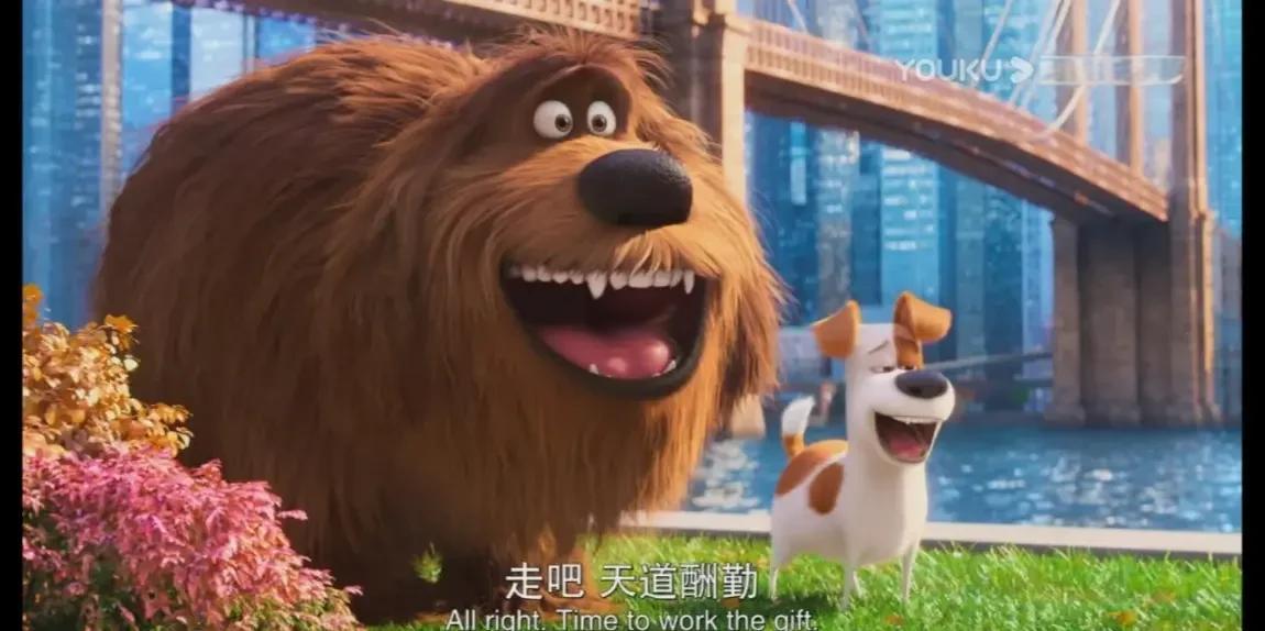 爱宠大机密迅雷下载(爱宠大机密迅雷下载 720p 下载)