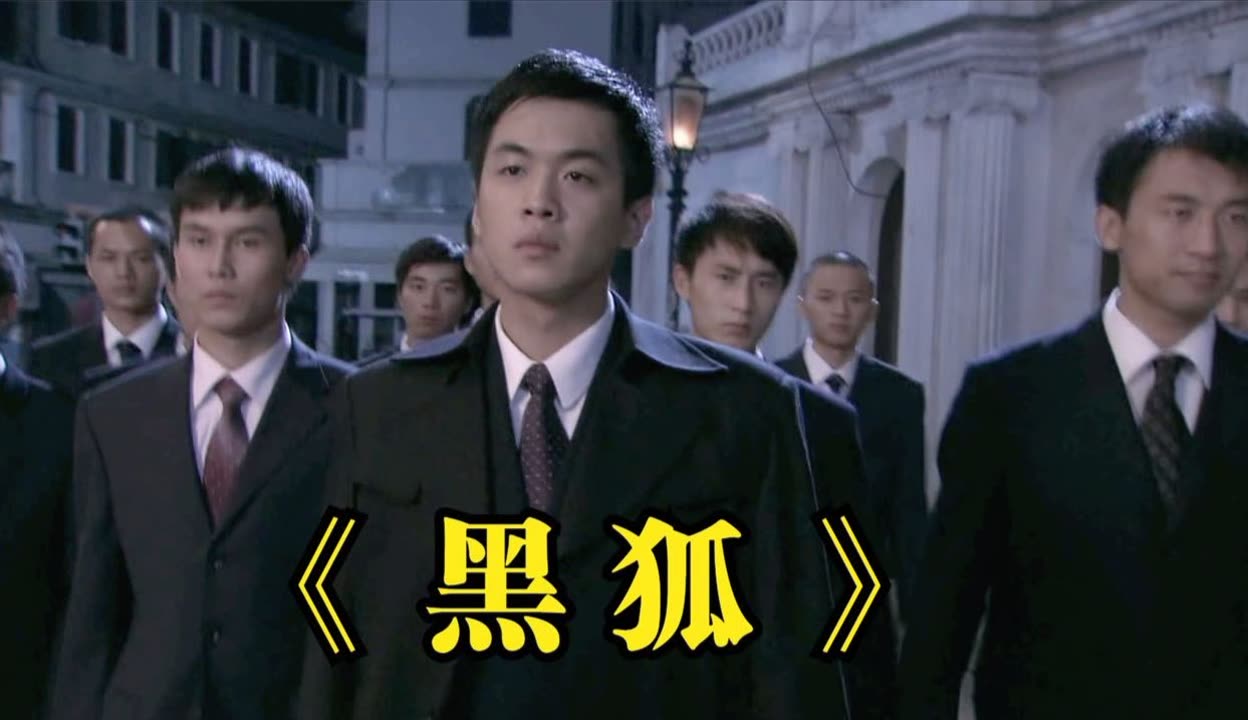 在线观看黑狐(黑狐高清在线观看)