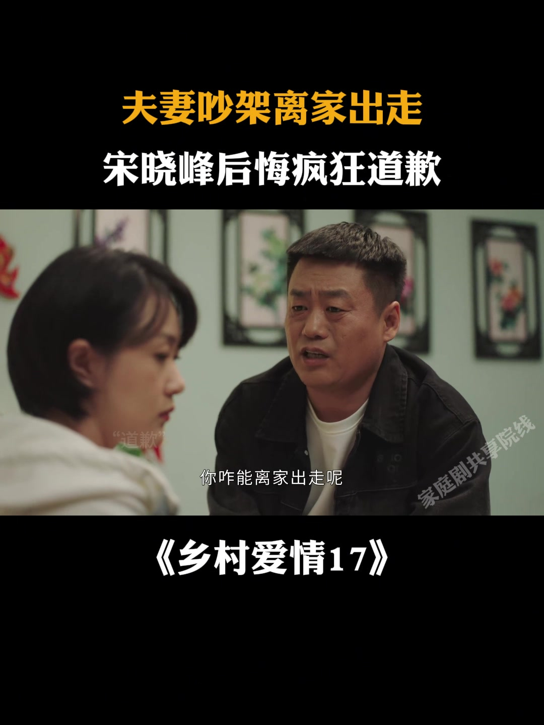 乡村爱情小夜曲剧情(乡村爱情圆舞曲9)