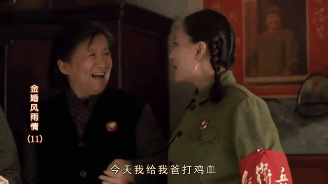 金婚风雨情全集(金婚风雨情全集免费高清)