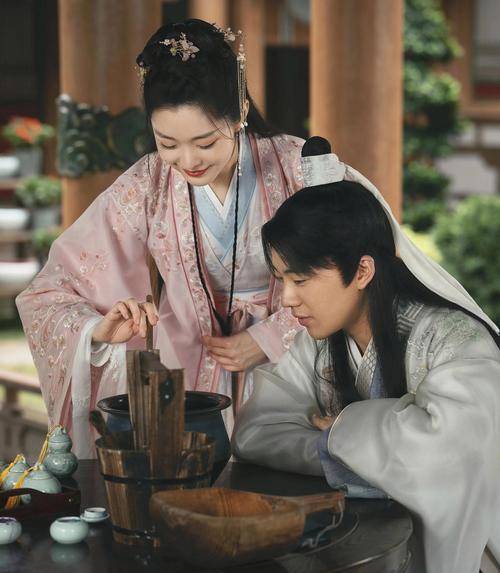 敖婿电视剧免费观看(敖婿电视在线)
