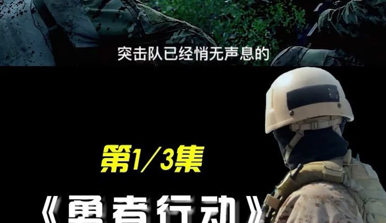 勇者行动在线观看(勇者行动在线观免费)