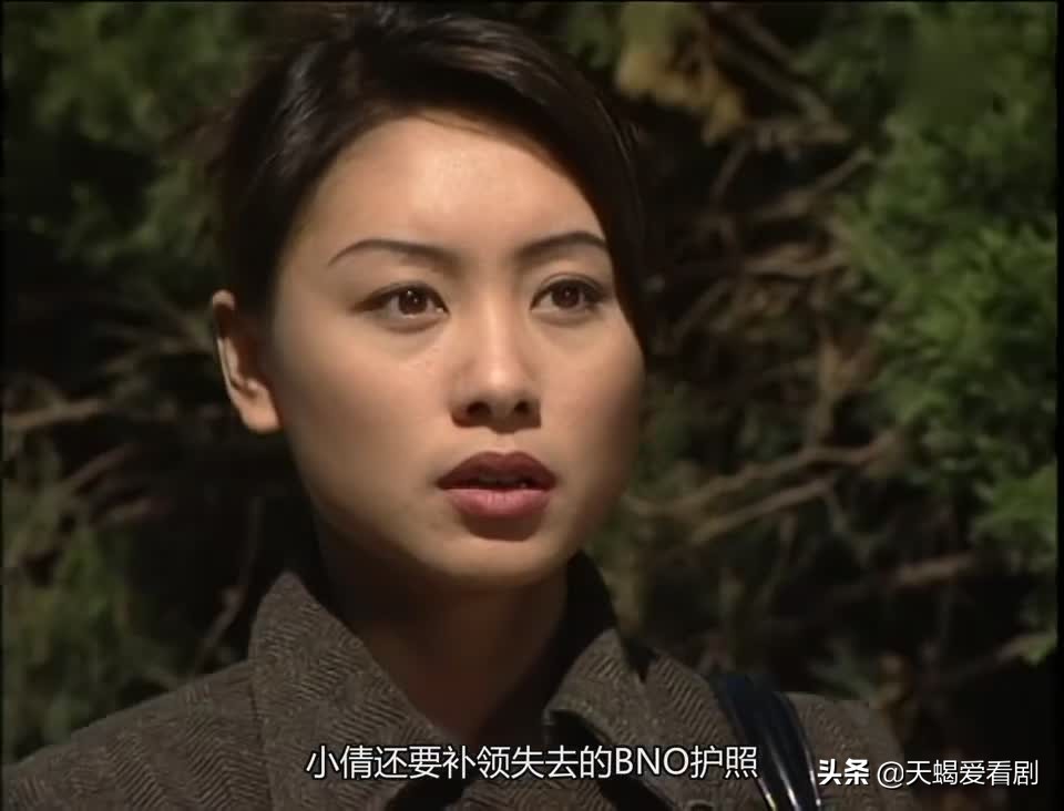刑事侦缉档案第四部国语(刑事侦缉档案第4部)