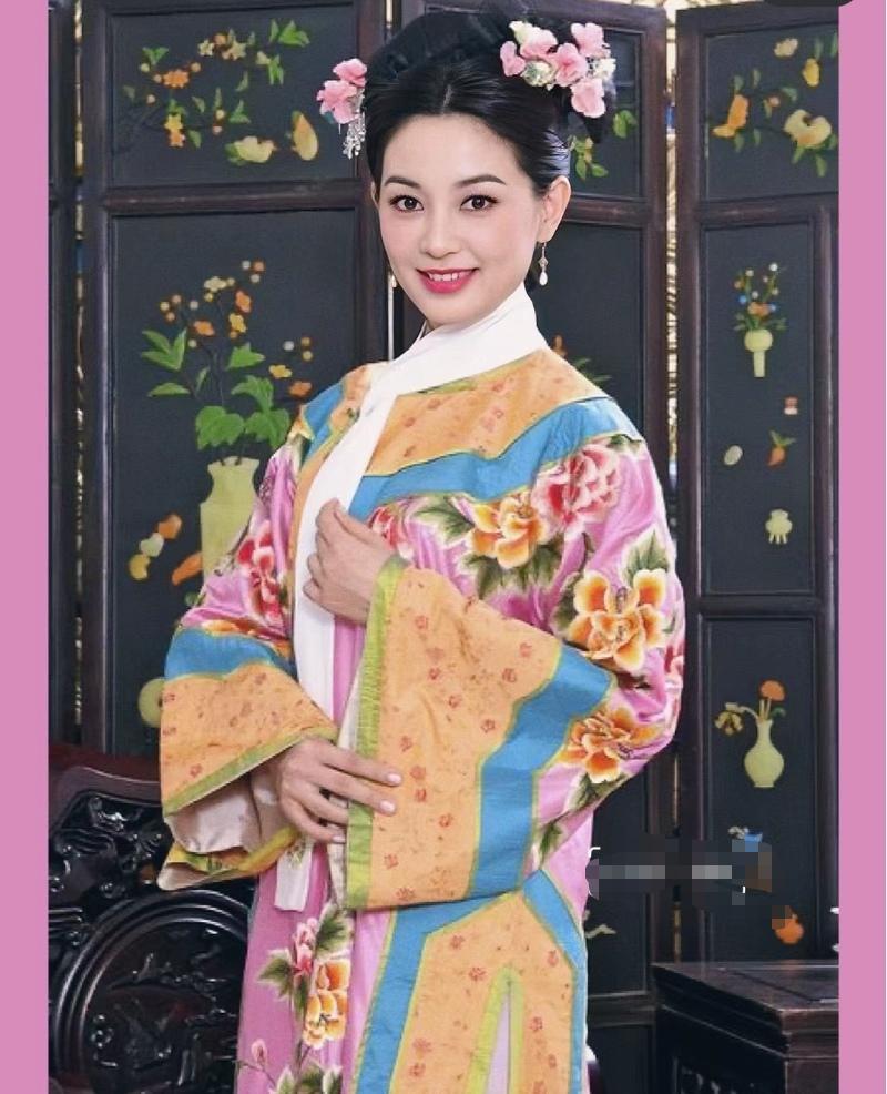 深宫谍影电视剧(深宫谍影电视剧简介)