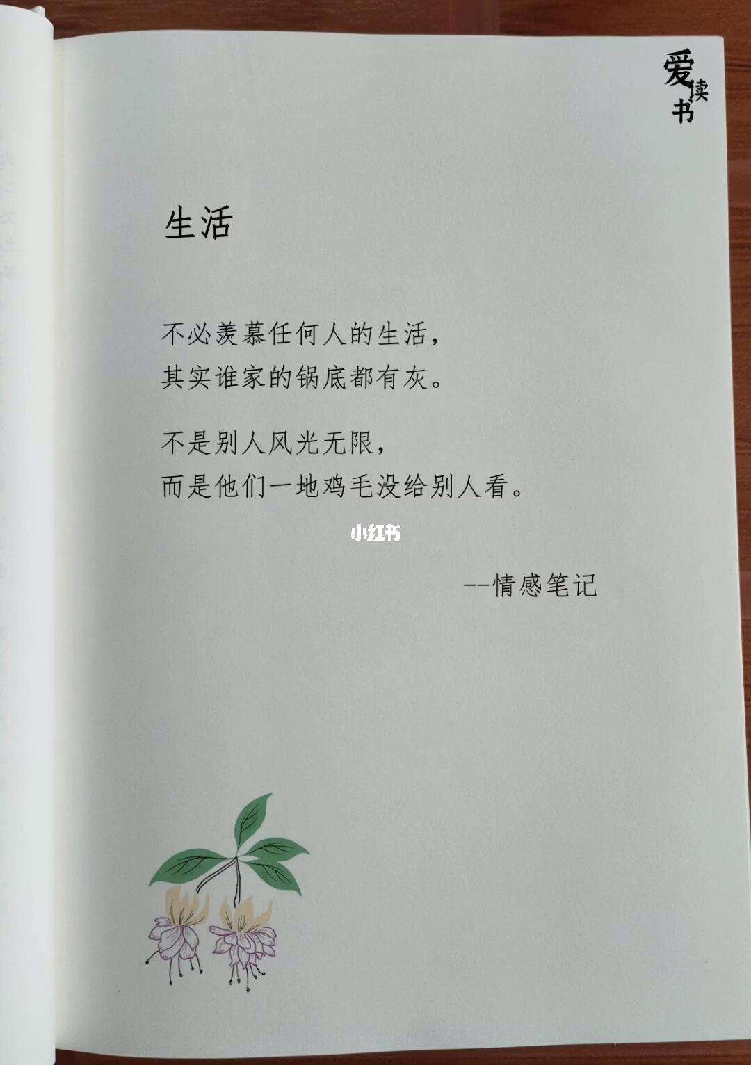 这就是生活免费观看40集(这就是生活免费观看电视剧完整版)