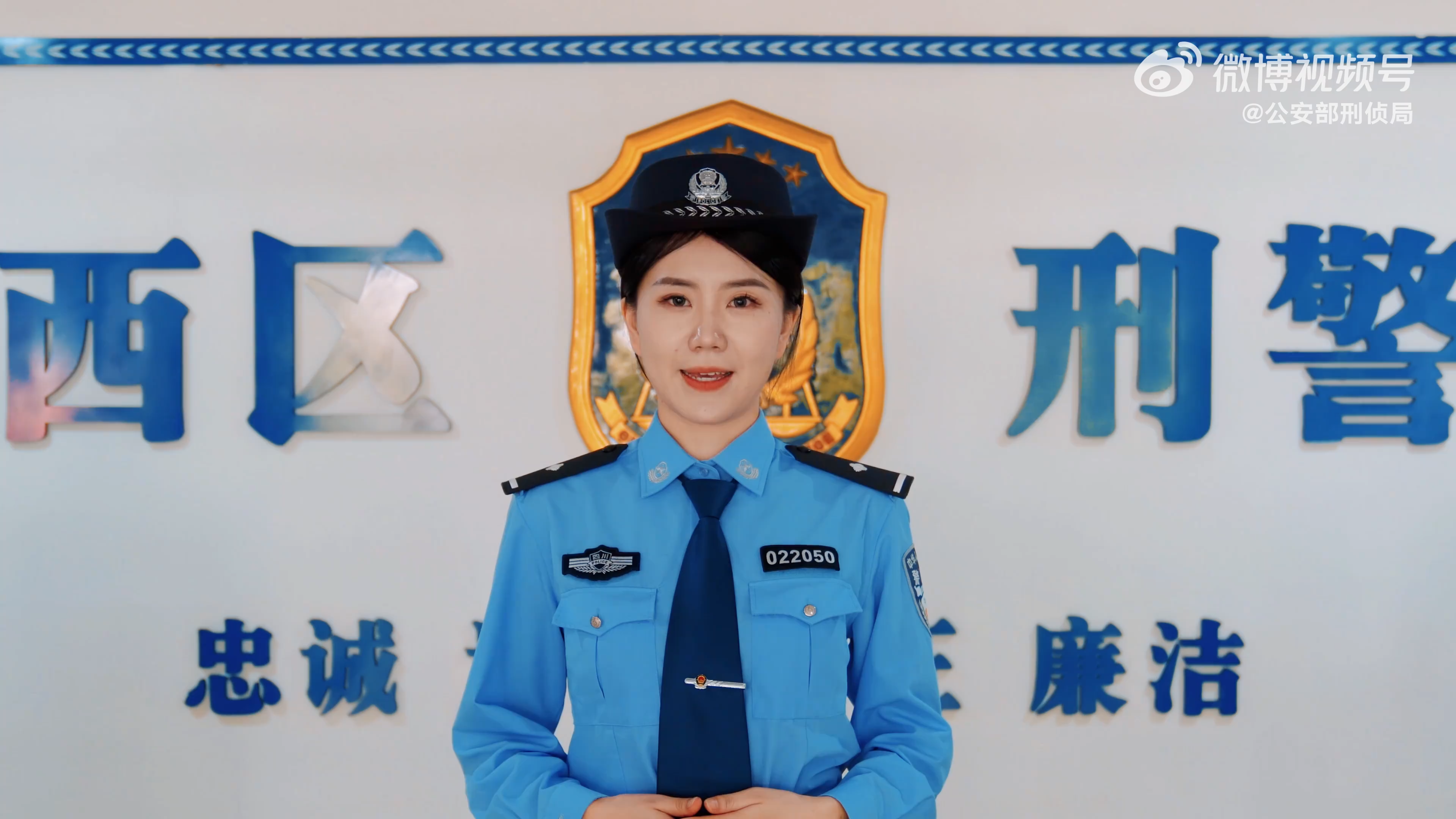 警花档案4(警花档案三)