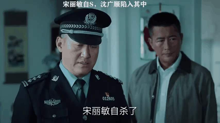 巡回检察组43全集枪版(巡回检察组4143集)