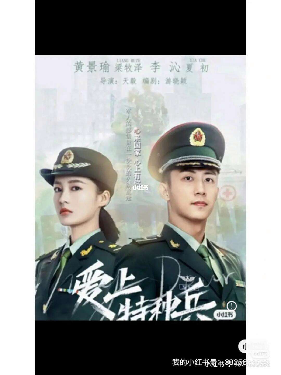 爱上特种兵电视剧全集(爱上特种兵电视剧33集)