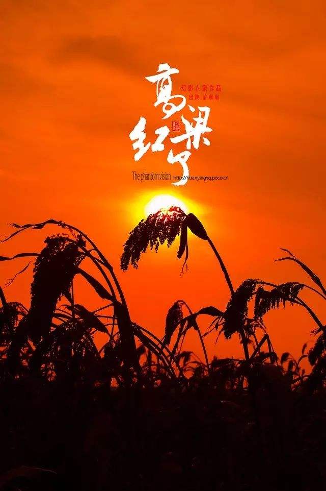 高粱红了在线观看(高粱红了免费)