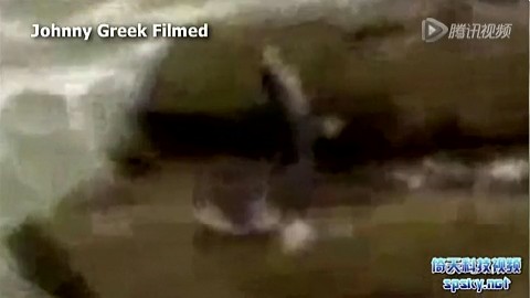 下水道美人鱼下载(下水道美人鱼无修改)