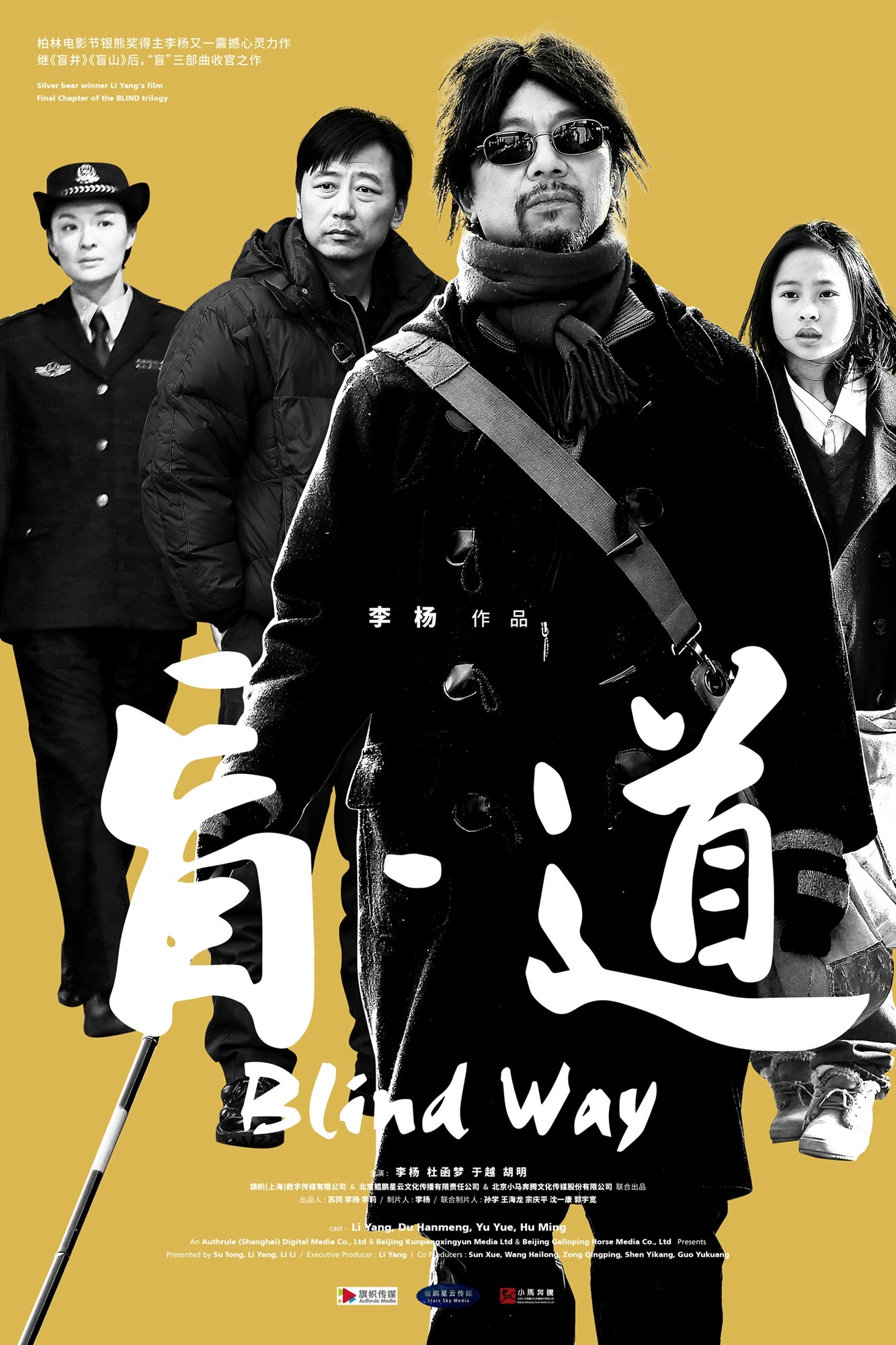 盲探电影高清完整版(电影盲探国语完整版在线)