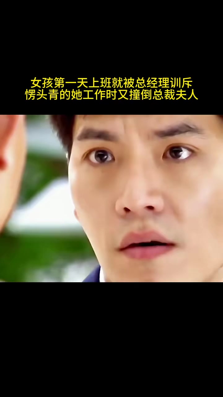 电视剧小菊的秋天全集(电视剧小菊的秋天完整版)