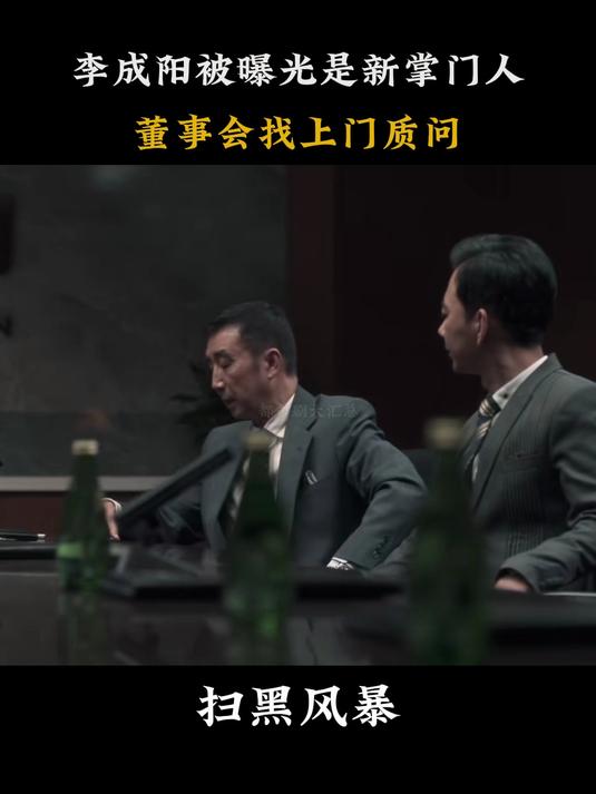 扫黑风暴在线观看影院(扫黑风暴在线观看星辰电影)