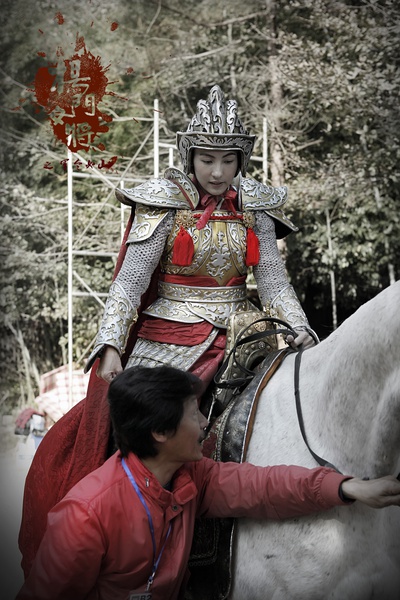 杨门女将电影(杨门女将电影的先后顺序)
