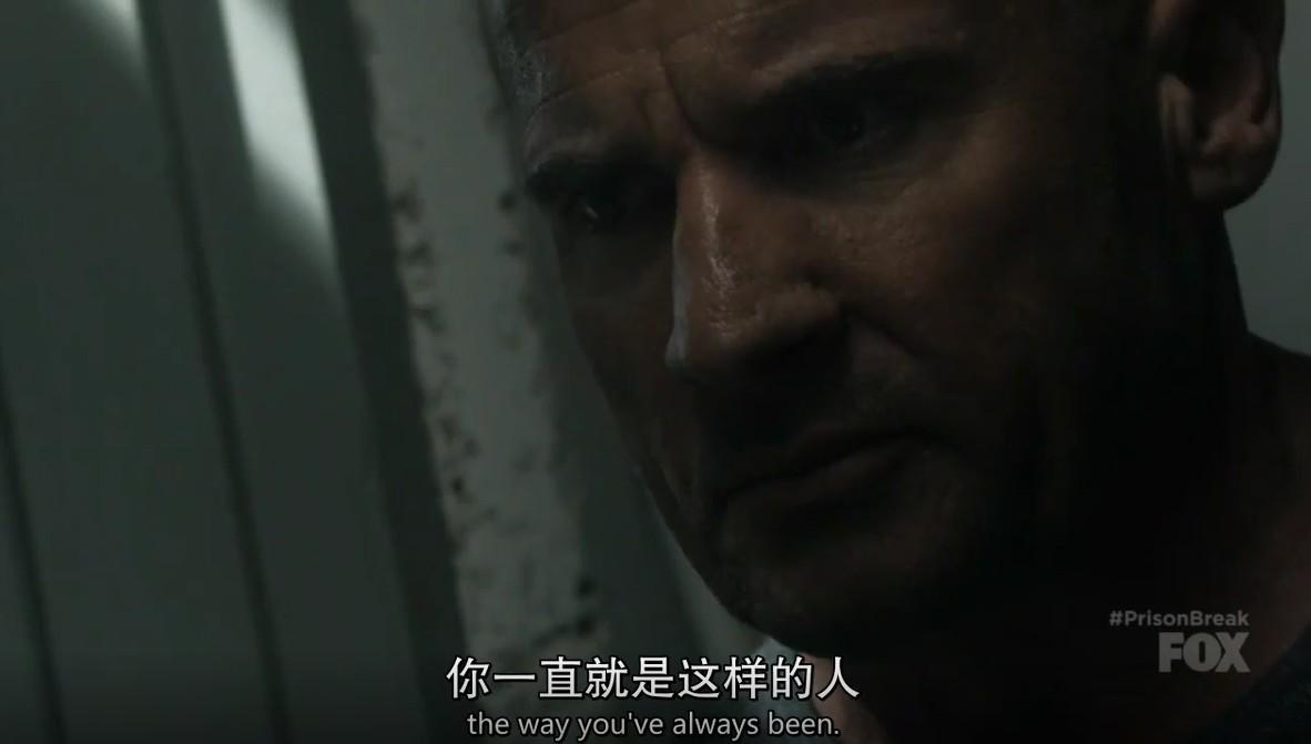 越狱第五季在线观看(越狱第五季完整版高清)