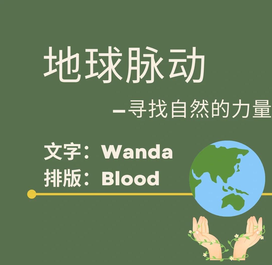 地球脉动第二季下载(地球脉动第二季 ed2k)