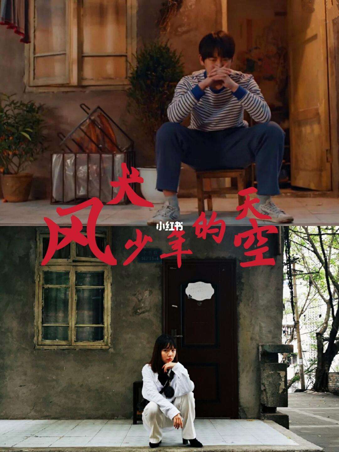 风犬少年的天空免费观看在线(风犬少年的天空在线观看全集)