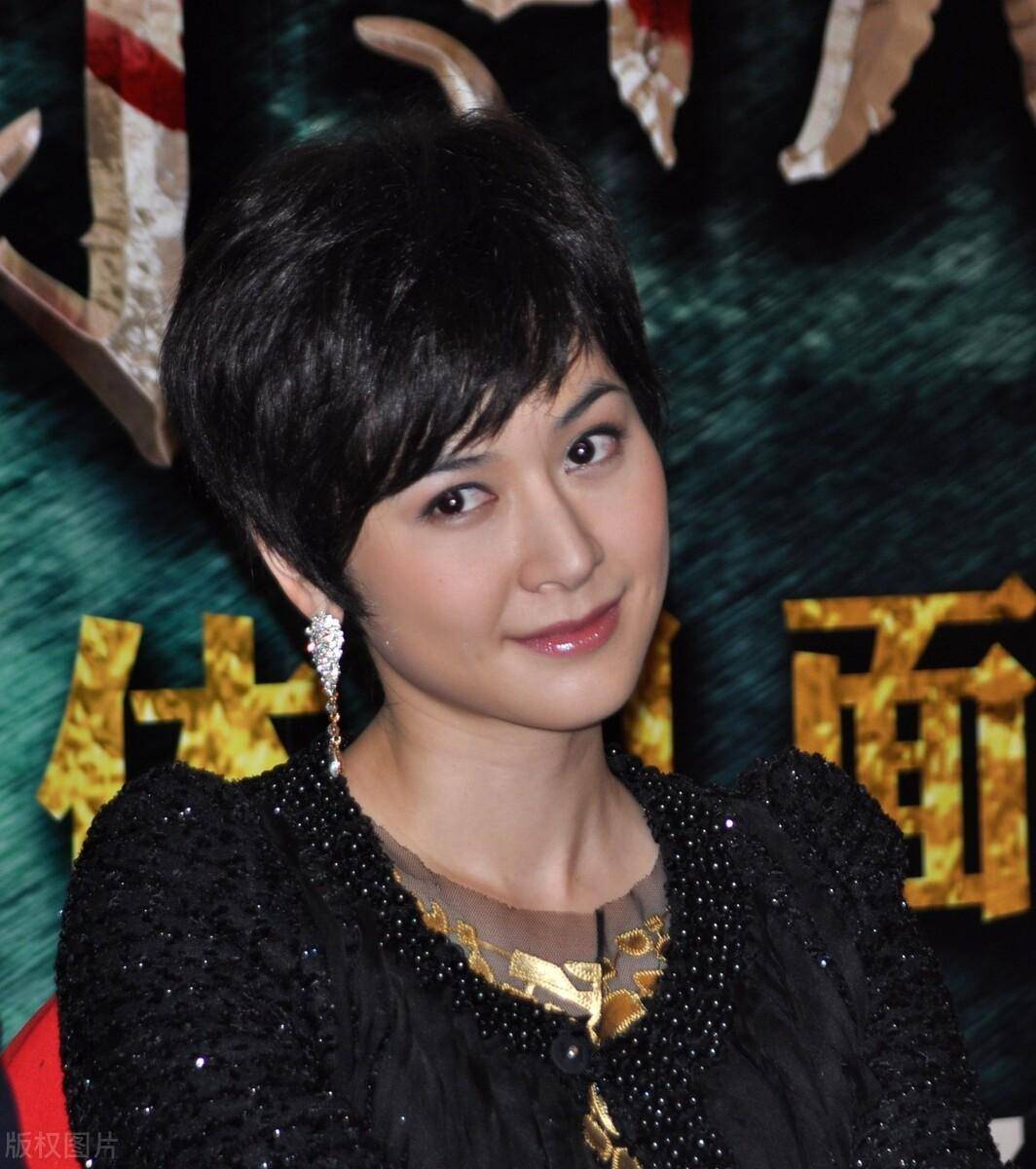 杀狼花电视剧全集(杀狼花电视剧全集演员表)