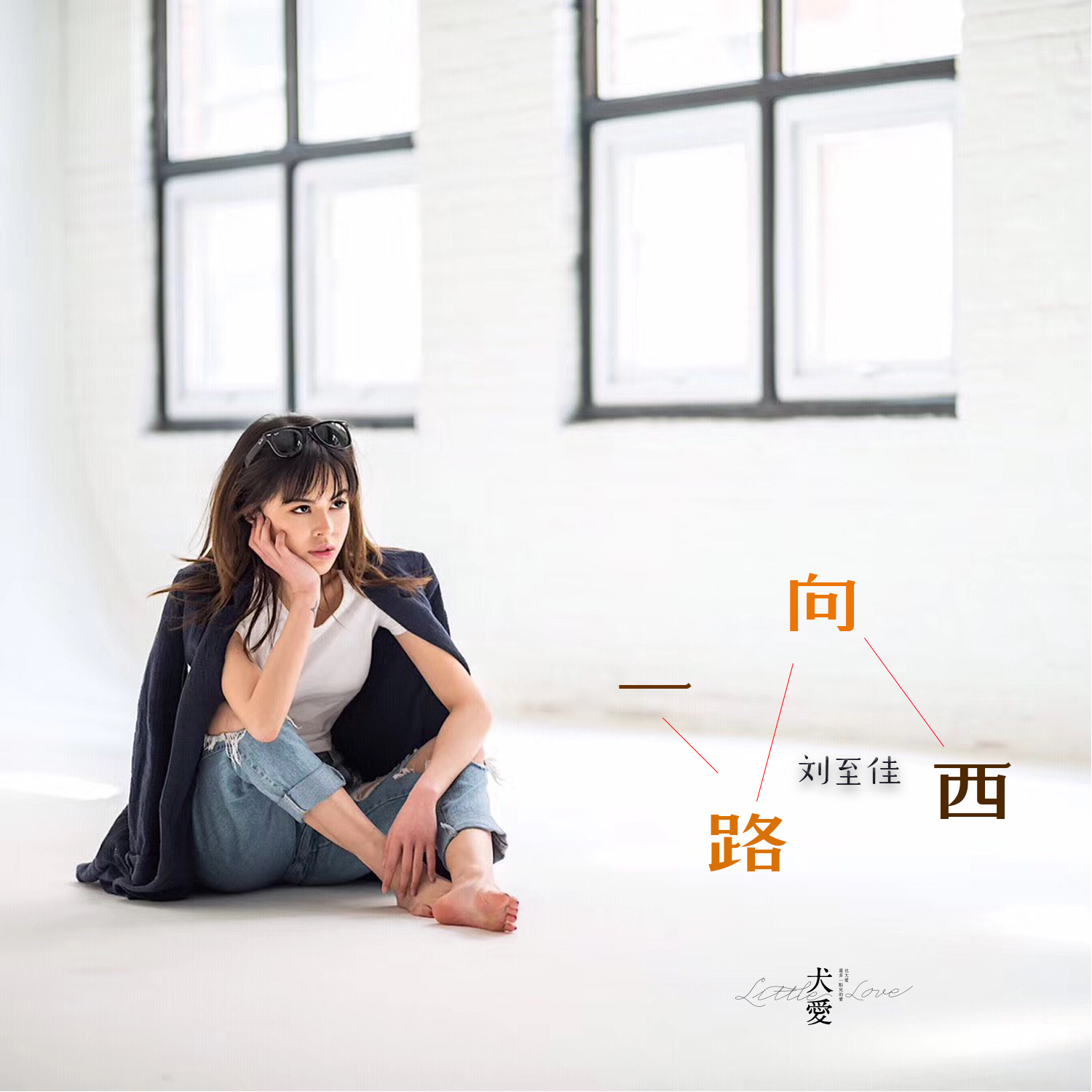 一路向西在线播放(一路向西在线播放完整版全集免费观看)