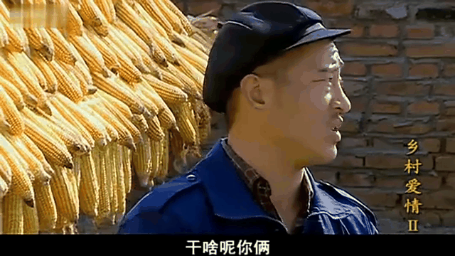 乡村爱情2部(乡村爱情十七部)