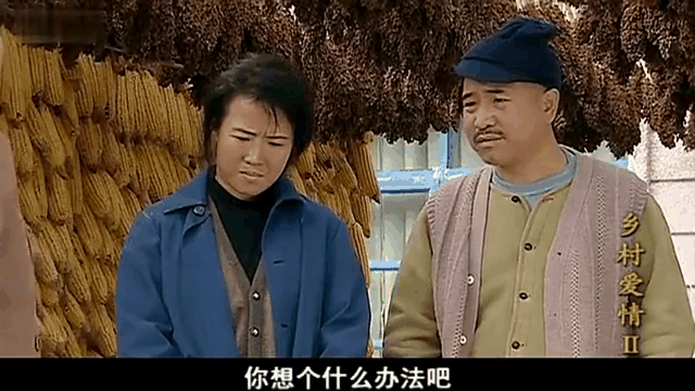 乡村爱情2部(乡村爱情十七部)
