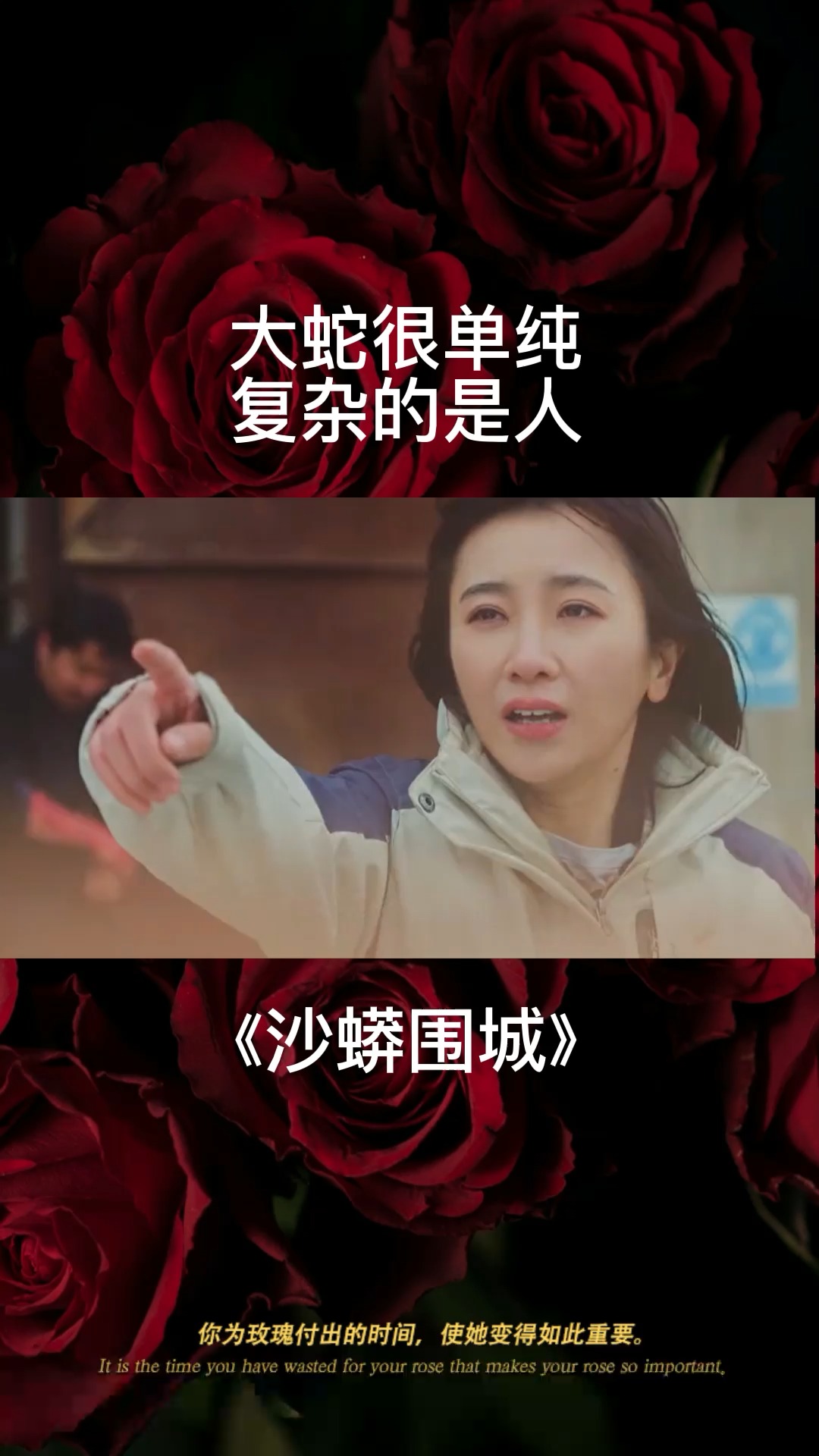沙蟒围城电影免费观看(沙海2沙蟒蛇巢)