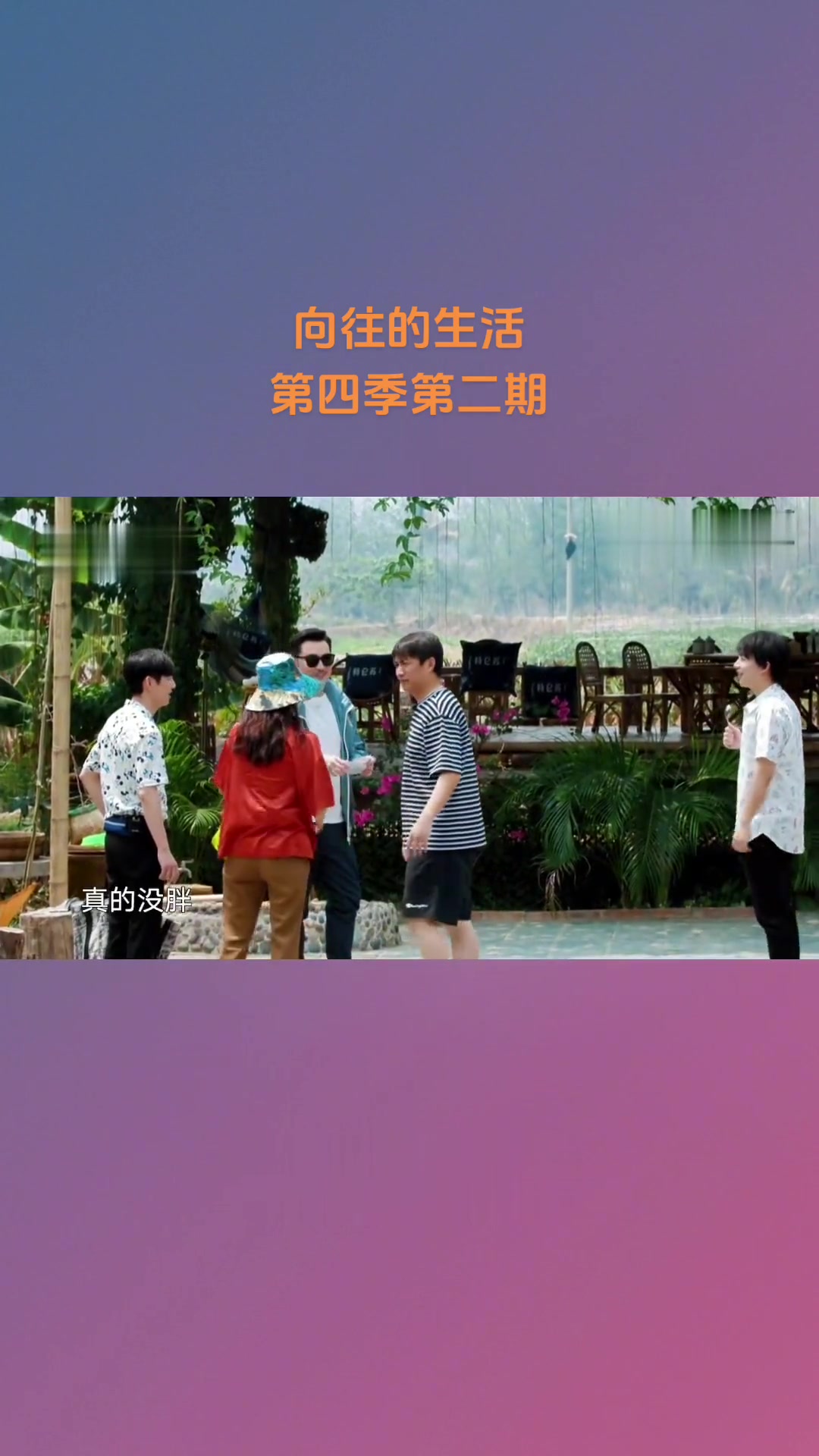 向往的生活4全集免费的简单介绍