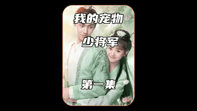 我的宠物少将军免费观看电视剧(我的宠物少将军免费观看电视剧超清)