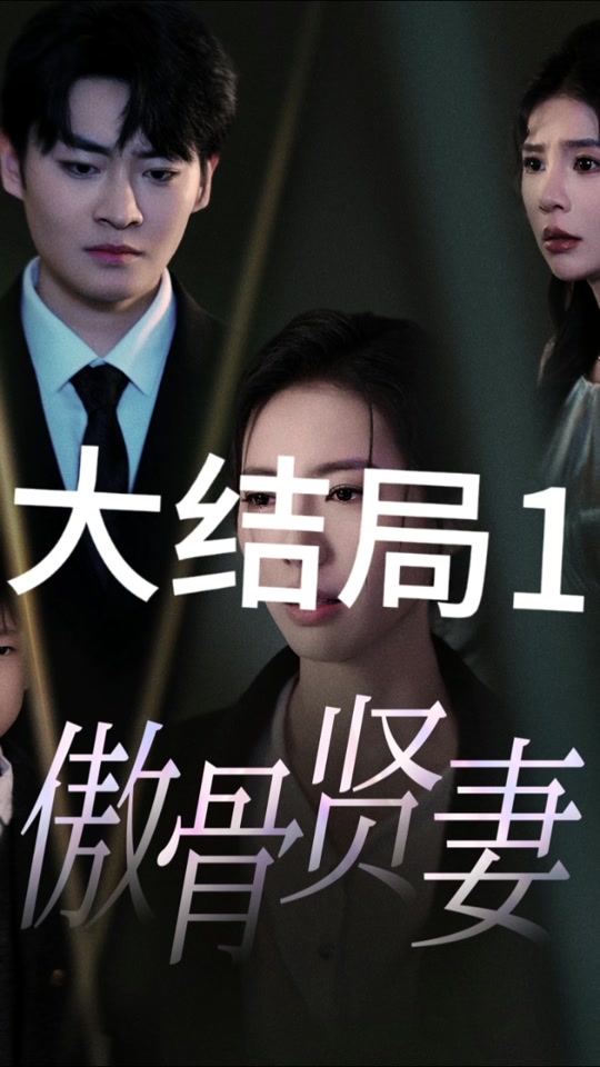 傲骨贤妻电视剧(傲骨贤妻电视剧国产)