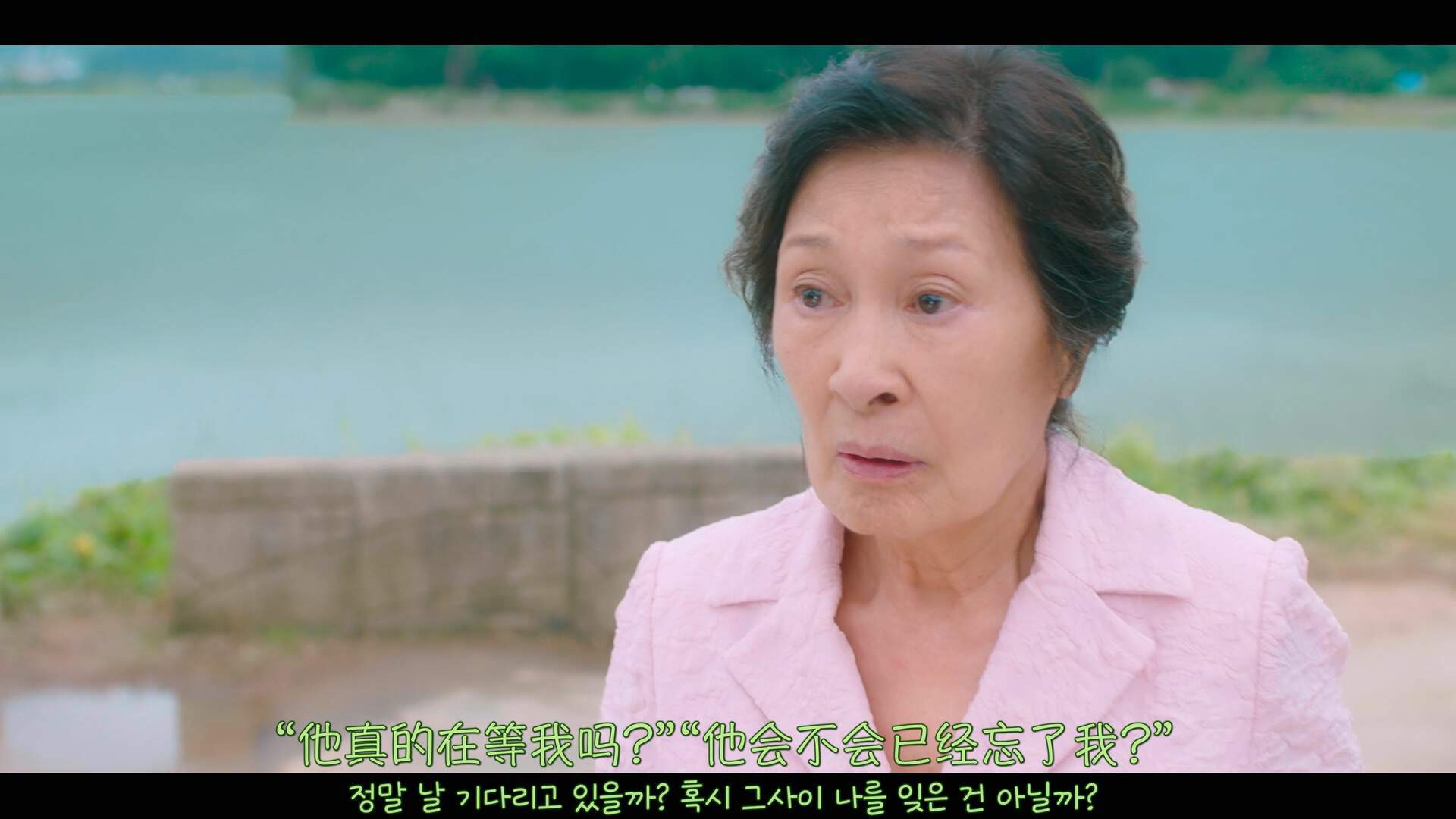 我有爱人了韩国电视剧(我有爱人了韩剧手机观看)