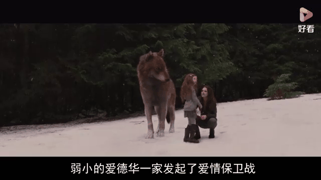 暮光之城4破晓下dvd(暮光之城4破晓下未删减版百度网盘)