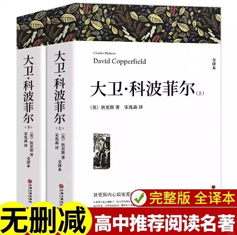 大卫科波菲尔电影下载(大卫科波菲尔1999电影英文版百度网盘)