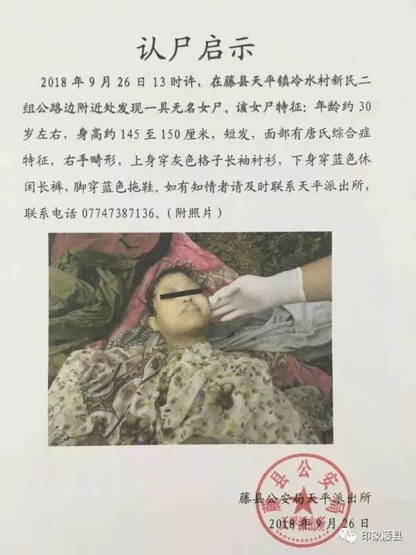 无名女尸下载(无名女尸高清版国语版)