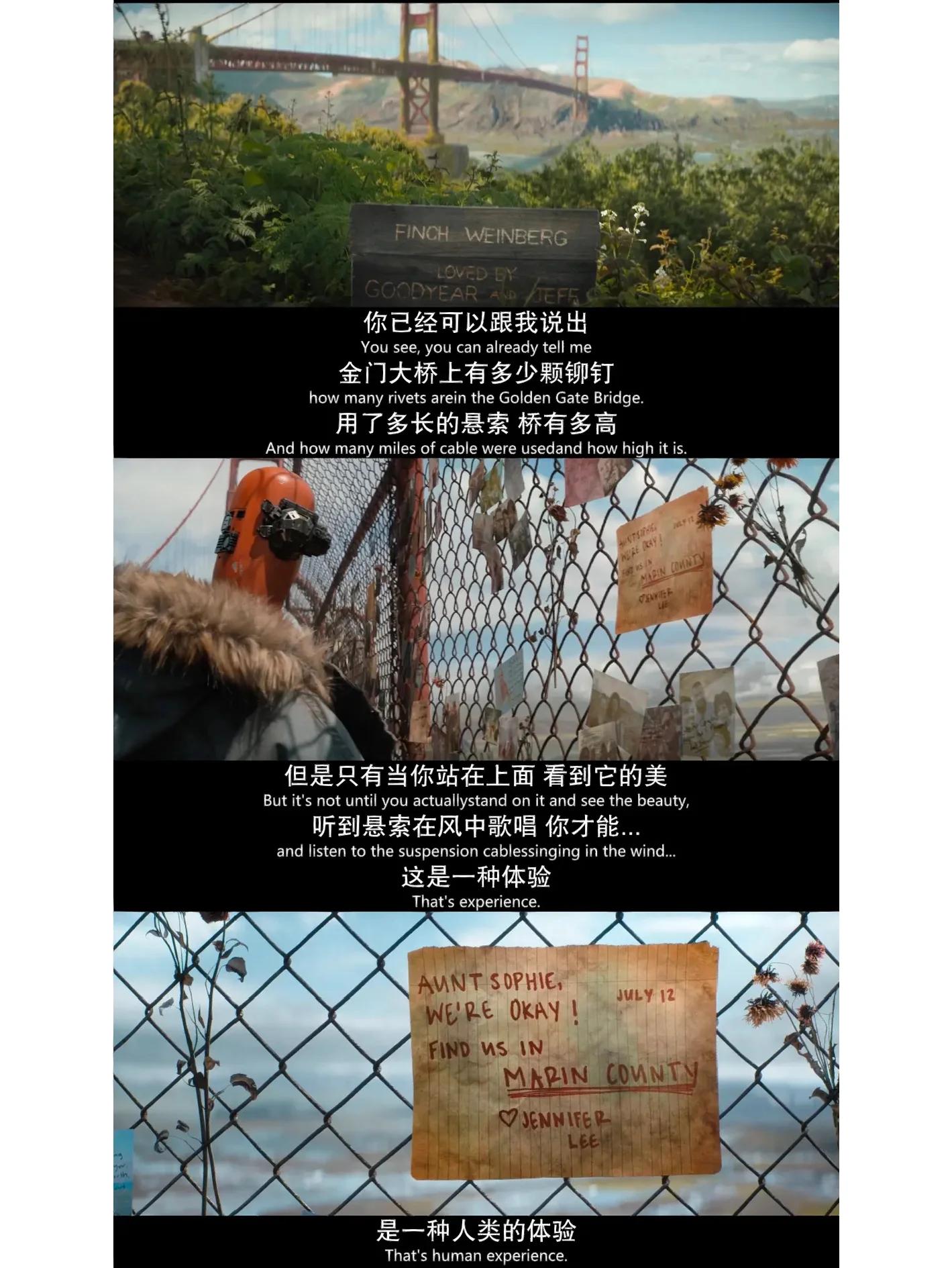 芬奇在线观看免费完整版(芬奇在线观看免费完整版高清)