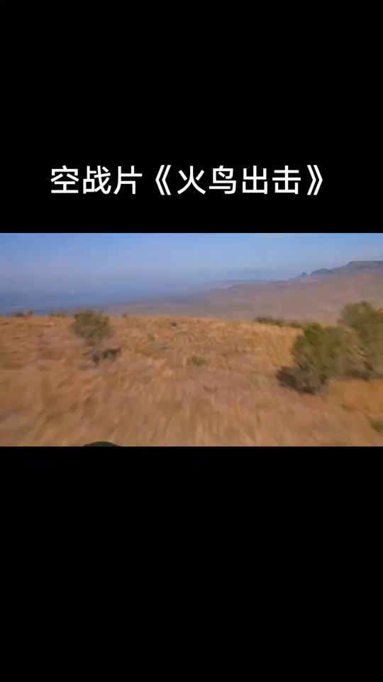 火鸟出击下载(火鸟出击英语中字版)