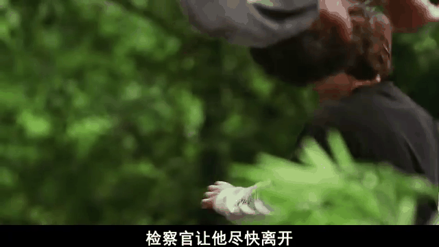 航班蛇患(航班蛇患电影在线观看)