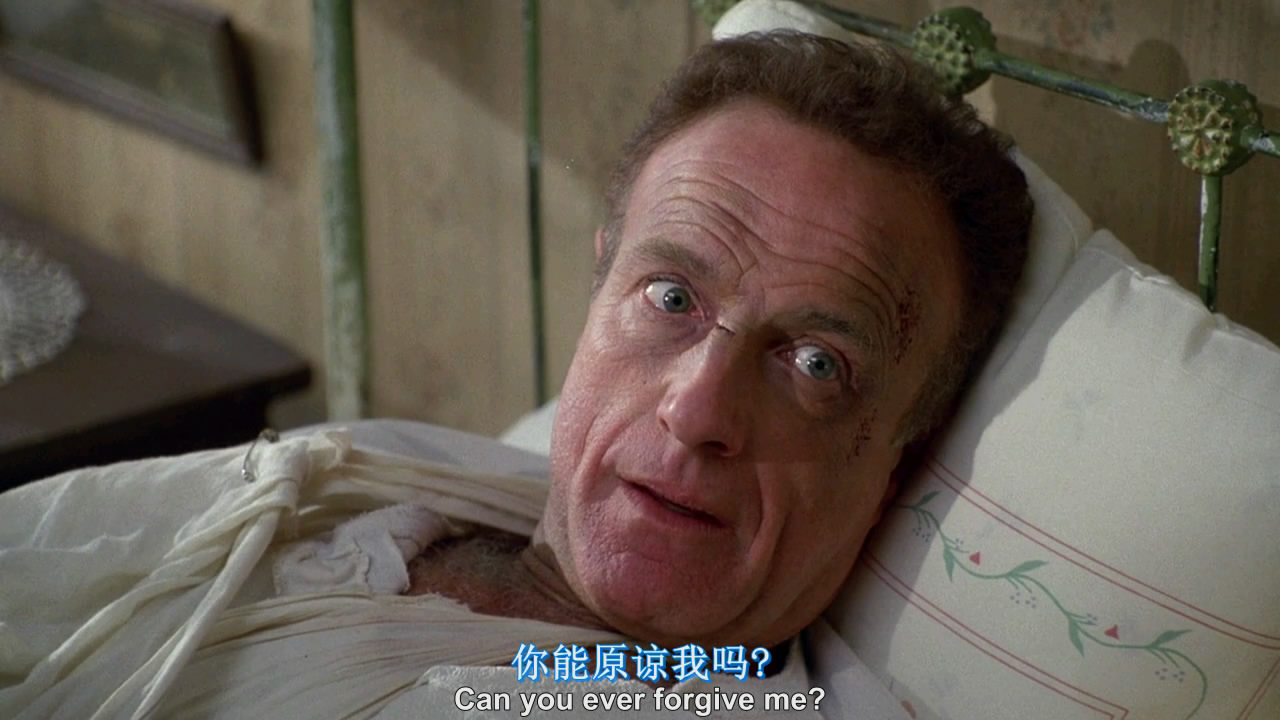 危情谍战高清完整版(危情谍战高清剧照)