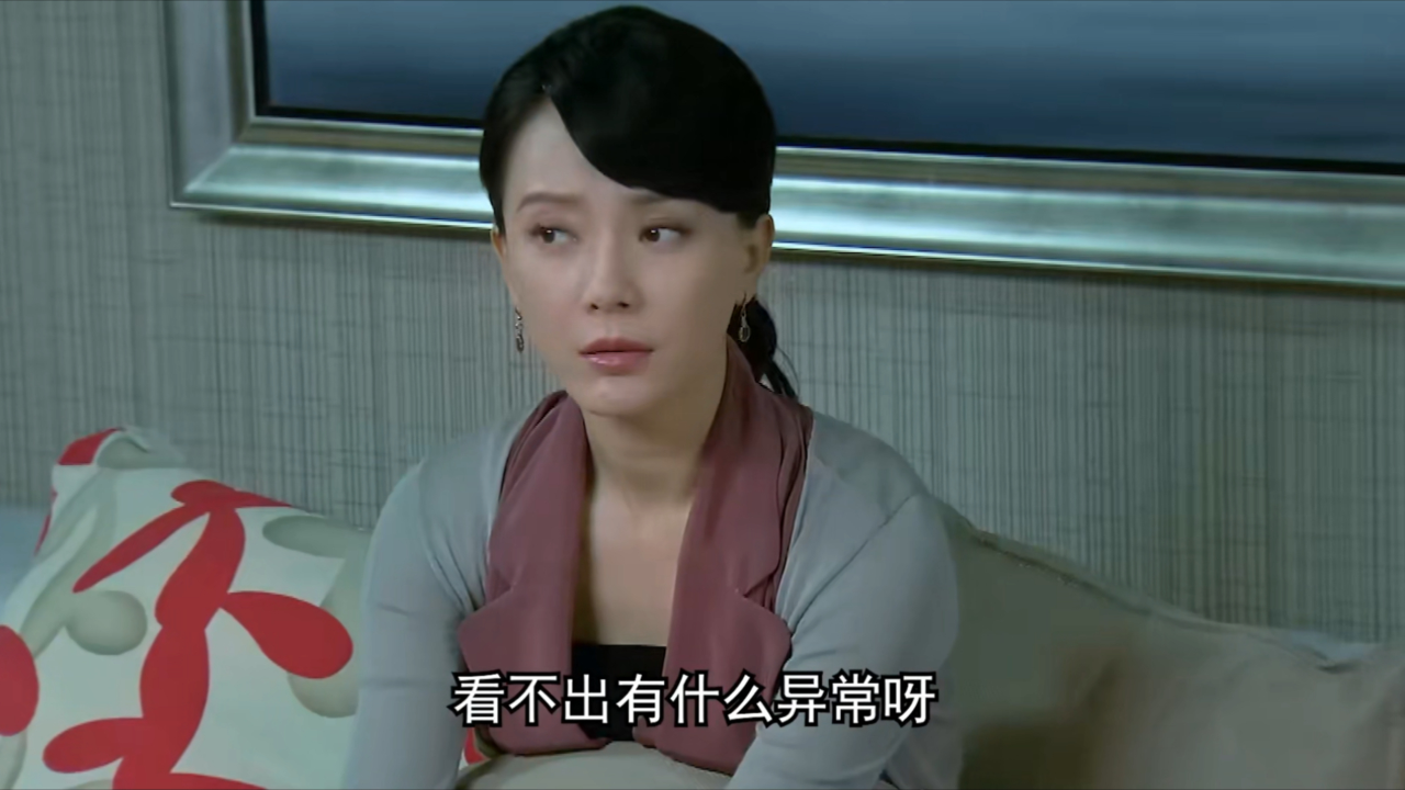 夫妻那些事儿电视剧(夫妻那些事儿电视剧大结局)