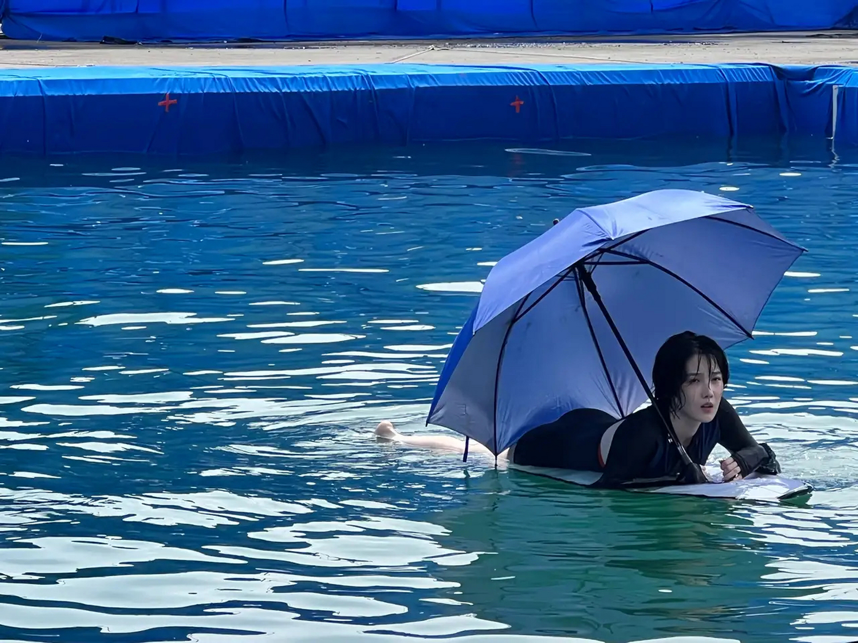 鲨滩下载(鲨滩迅雷下载)