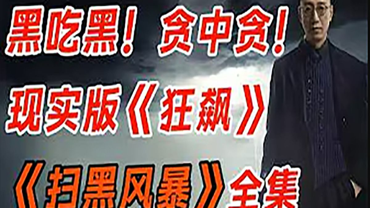 扫黑风暴在哪能看全集(扫黑风暴在哪能观看)