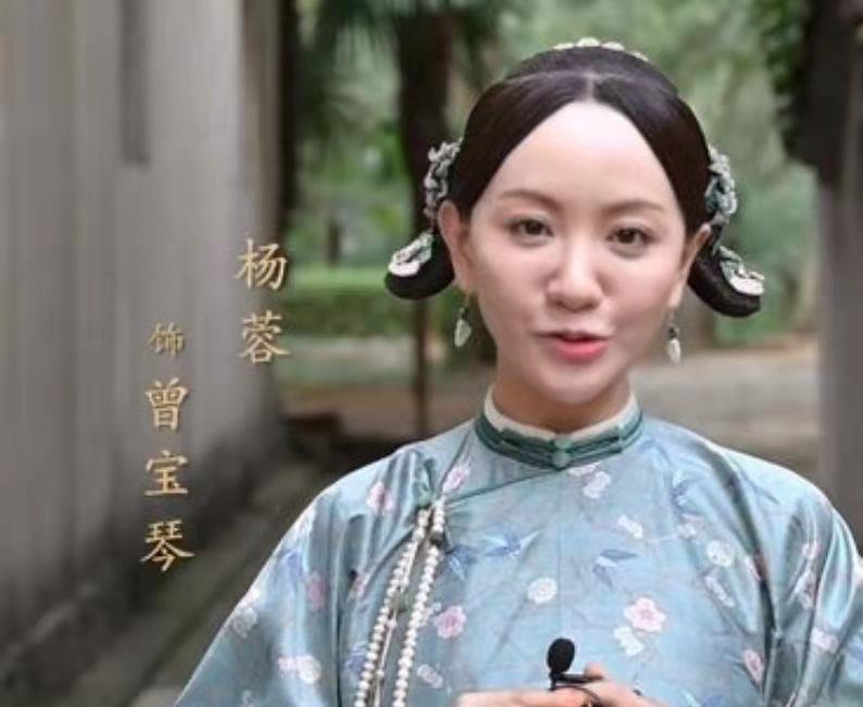 当家主母电视剧(当家主母电视剧剧情分集介绍)