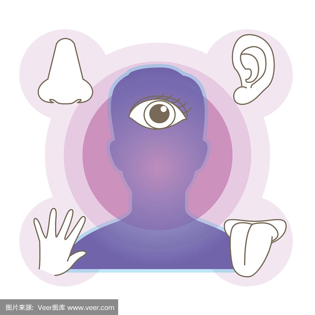五感图(五感图观看)