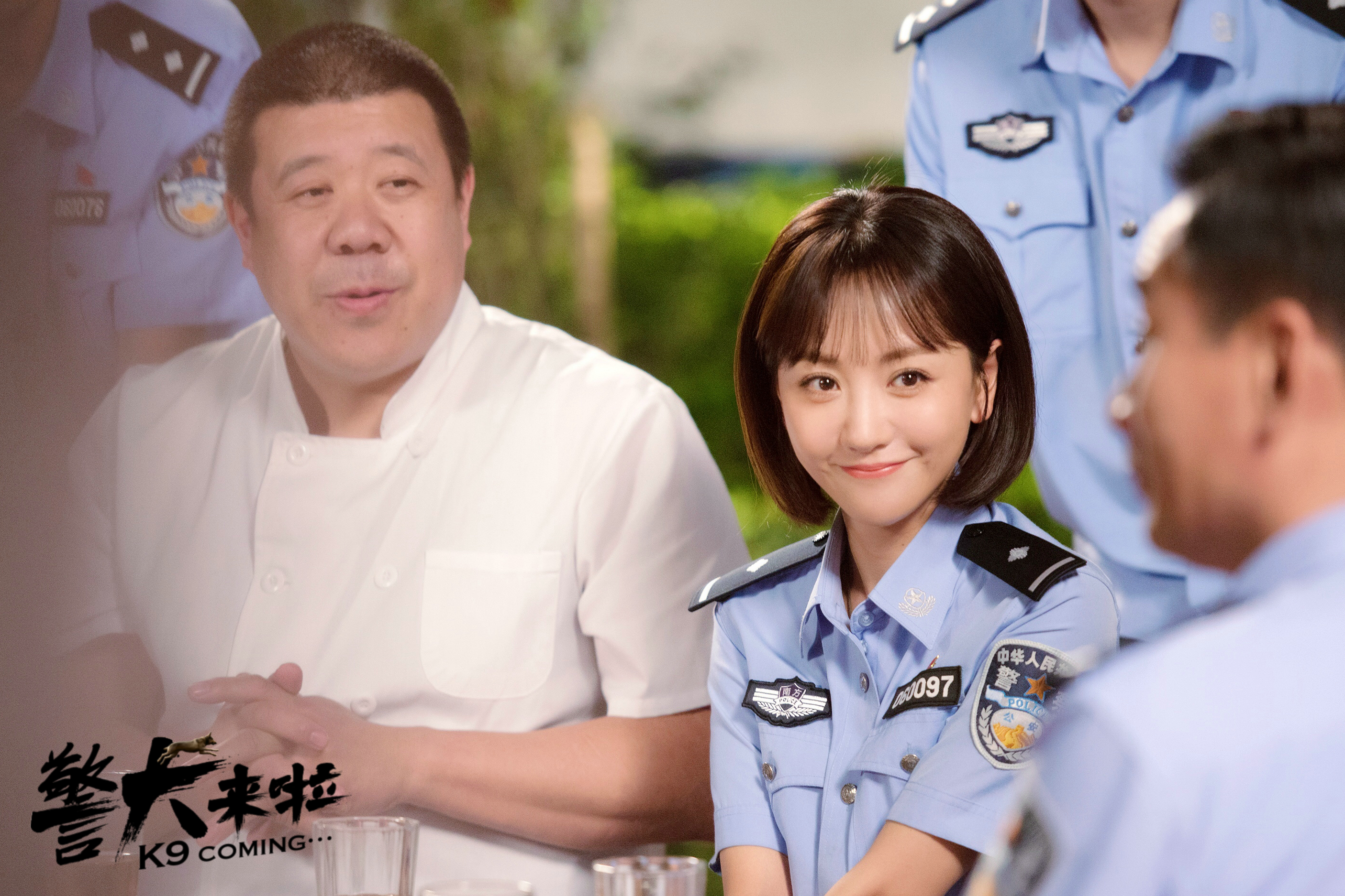 警犬来啦电视剧(警犬来啦电视剧演员表)