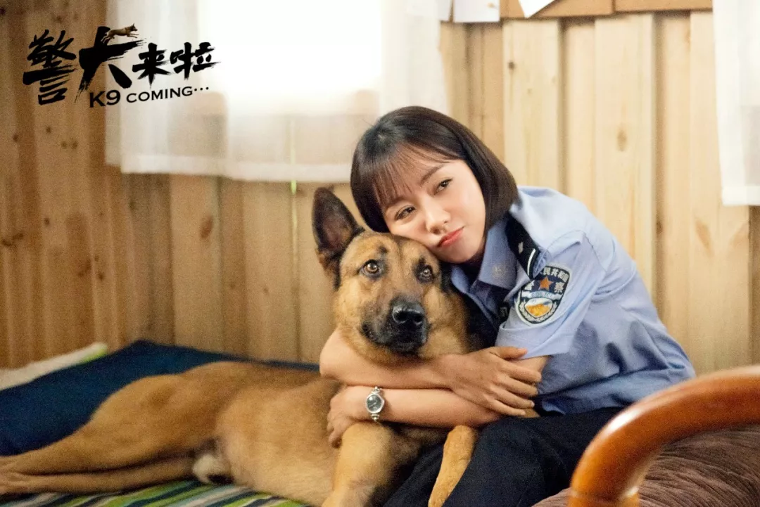 警犬来啦电视剧(警犬来啦电视剧演员表)