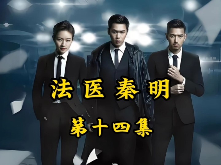 法医秦明免费观看电视剧全集(法医秦明电视连续剧免费观看)
